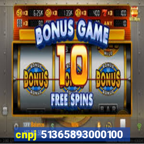 cnpj 51365893000100